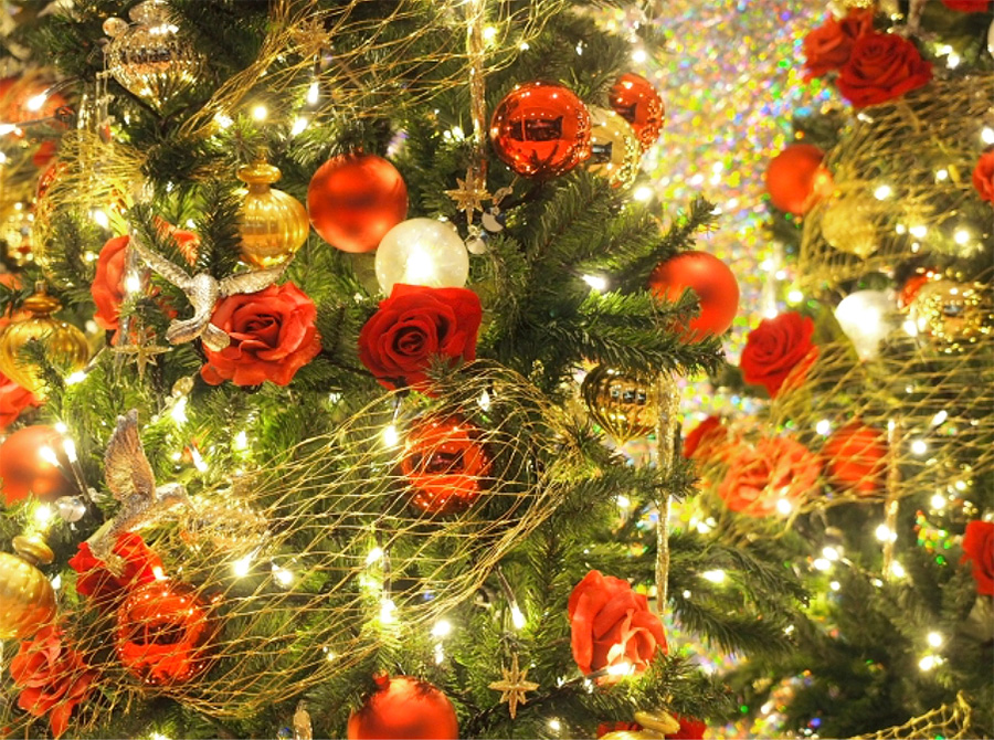 女性にクリスマスプレゼントを贈るときの予算は？