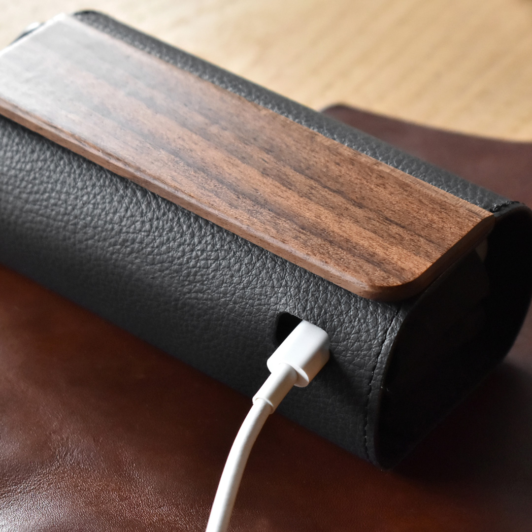 IQOS ILUMA CASE