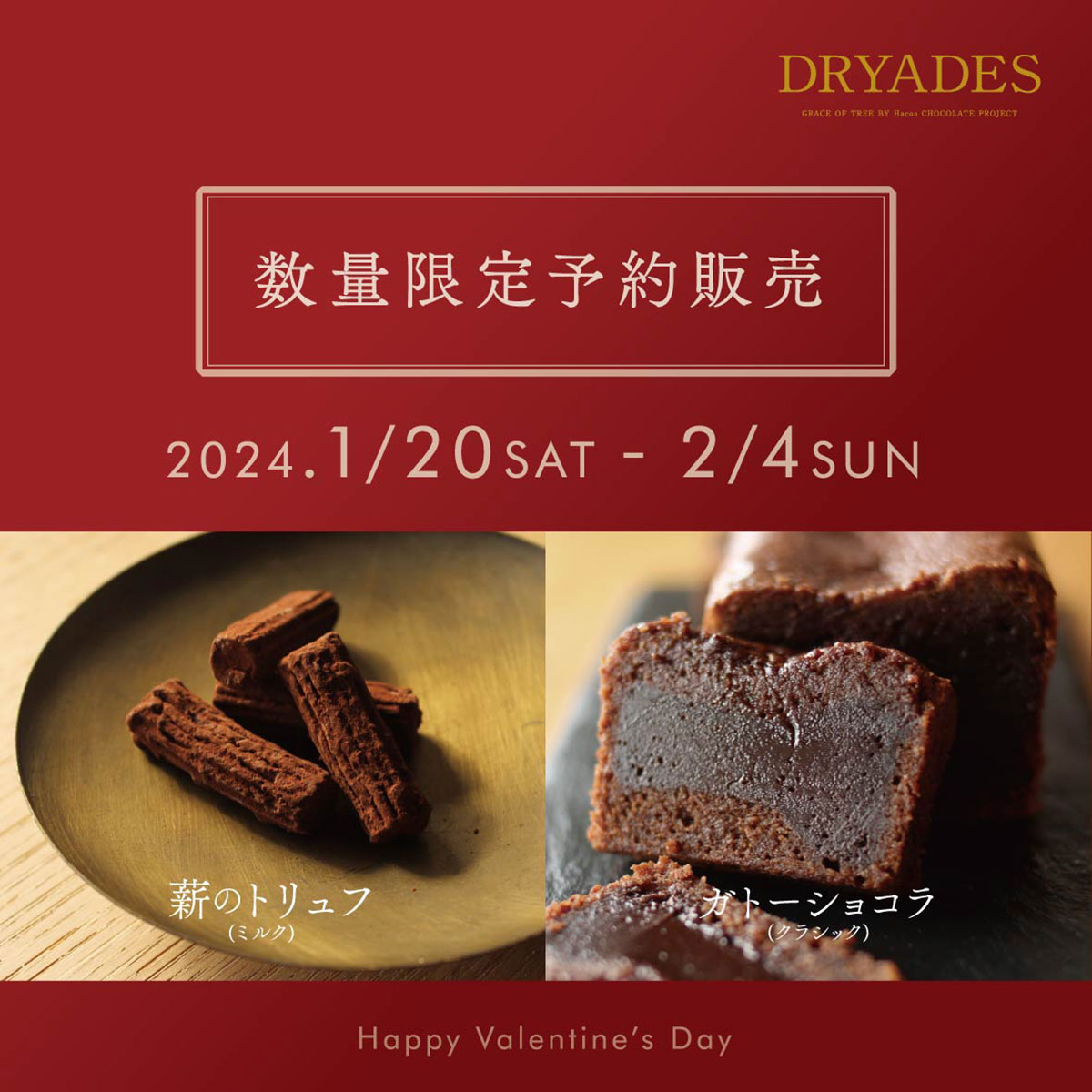 【福井店】バレンタイン★DRYADESチョコレート予約受付中！