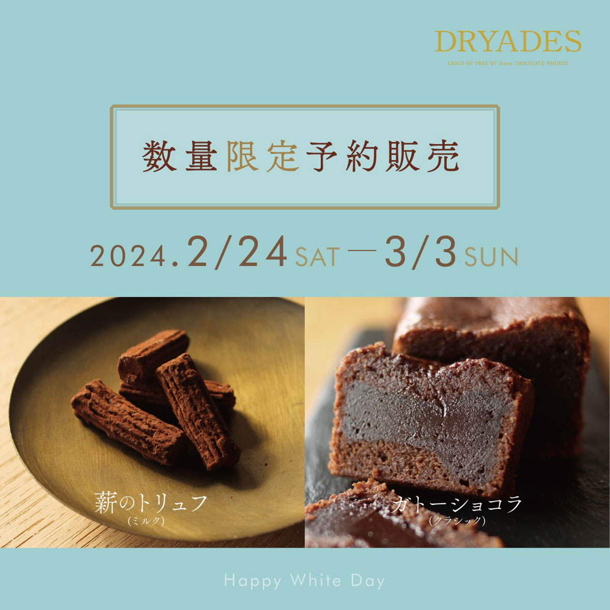 ホワイトデーもチョコは嬉しい★DRYADESチョコレート予約受付中！